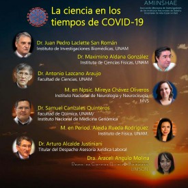 1er Seminario en Línea