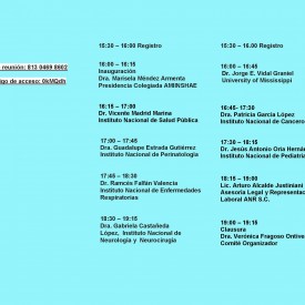 2da Reunión Virtual