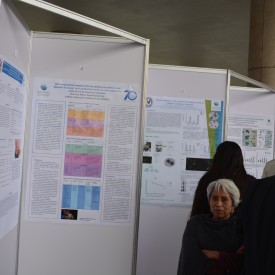 2do. Congreso AMIINSHAE 2016