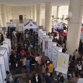 2do. Congreso AMIINSHAE 2016