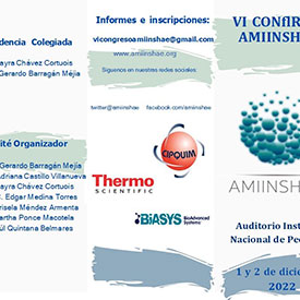 VI CONGRESO AMIINSHAE