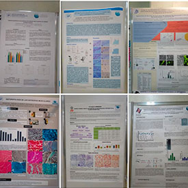 Exposición Carteles