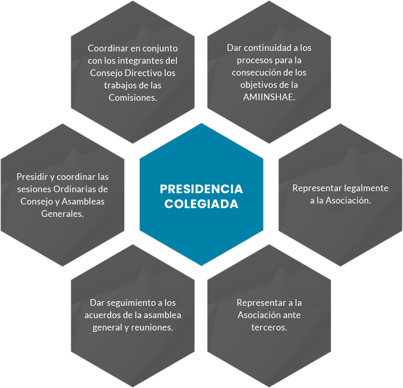 Funciones de la Presidencia Colegiada